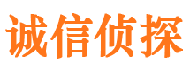 大通外遇调查取证